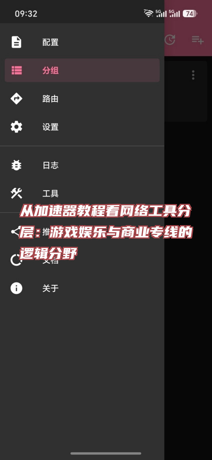 从加速器教程看网络工具分层：游戏娱乐与商业专线的逻辑分野
