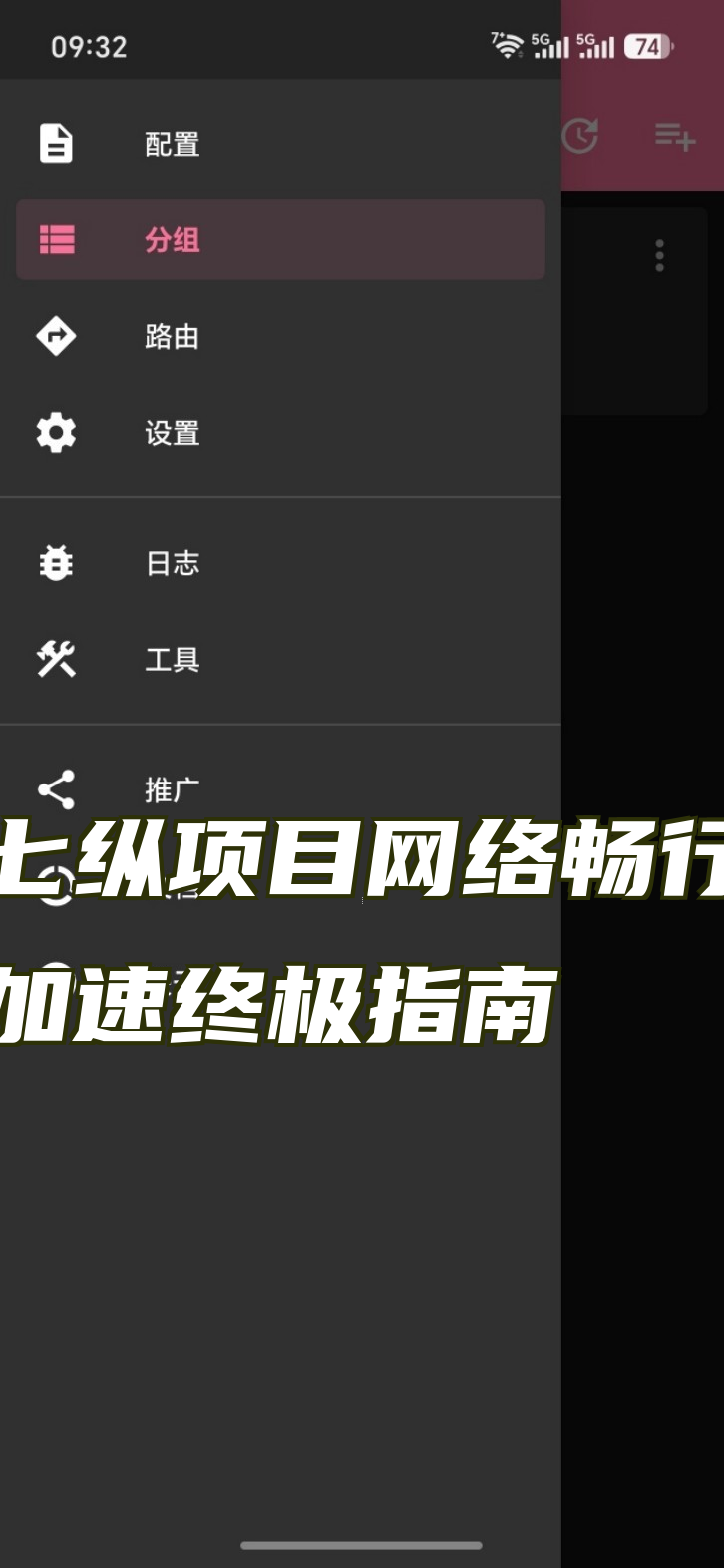 七纵项目网络畅行加速终极指南